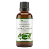 Olejek eteryczny z drzewa herbacianego 100 ml