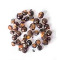 Guarana ziarno 100g