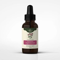 Jeżówka wąskolistna (Echinacea angustifolia) nalewka 1:1 50ml