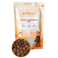Ziele angielskie ziarno 100g