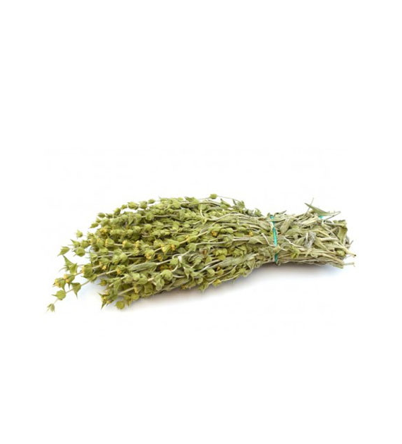 Gojnik BIO (Sideritis Raeseri) 200g (PL-EKO-04)